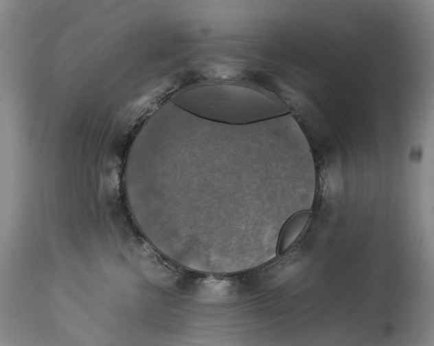 X0000114170570200911051530