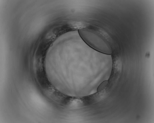 X0000114170572200911051530