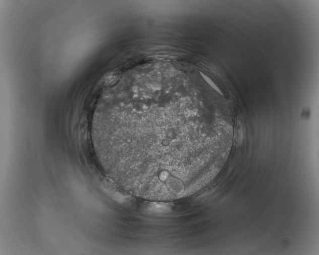 X0000114170573200911051530