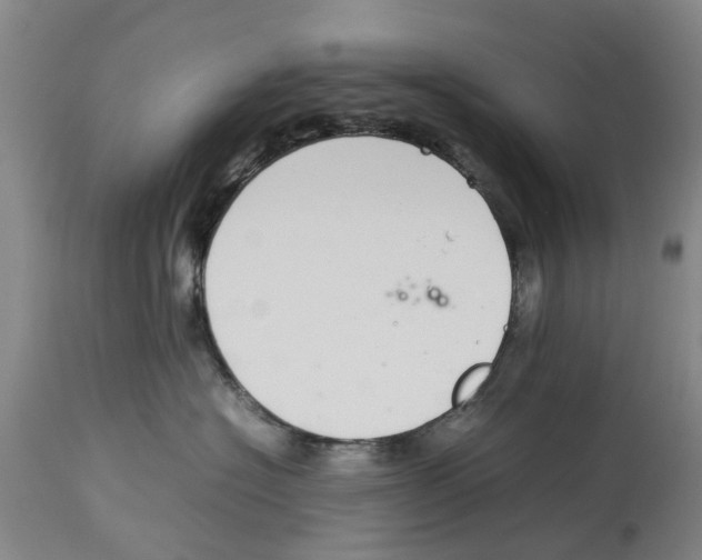 X0000114170574200911051530