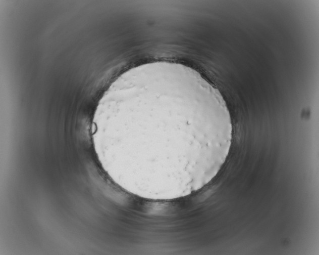 X0000114170575200911051530