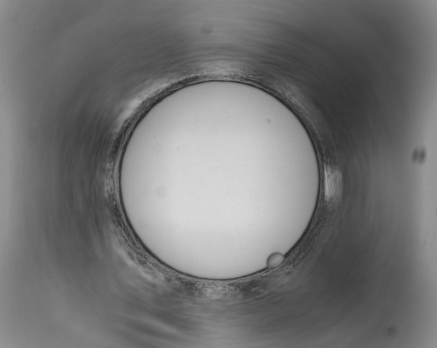 X0000114170579200911051530