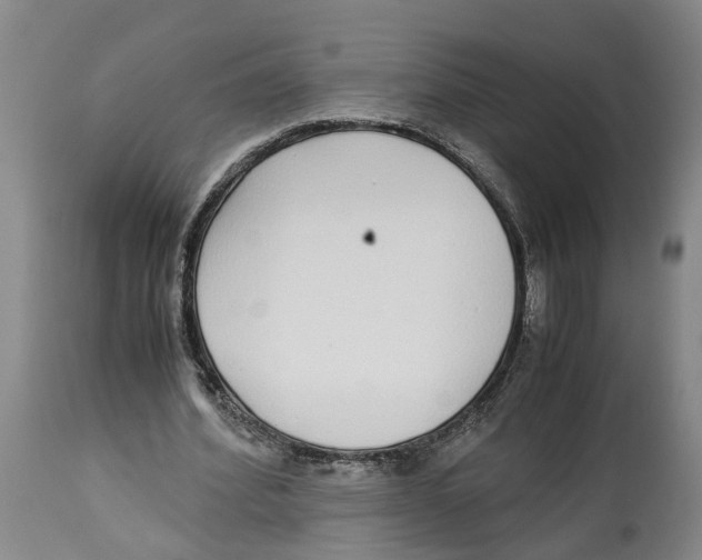 X0000114170580200911051529