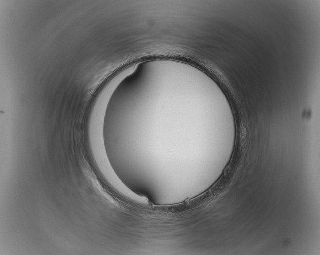 X0000114170581200911051529