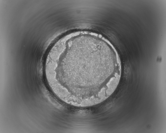 X0000114170584200911051529