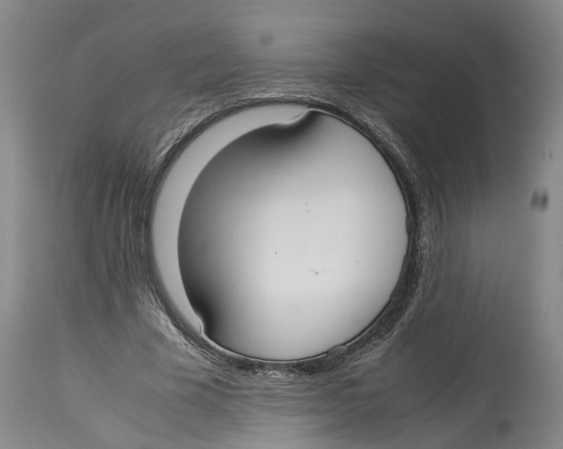 X0000114170585200911051529