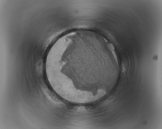 X0000114170588200911051529