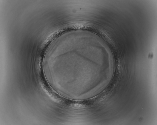 X0000114170590200911051529