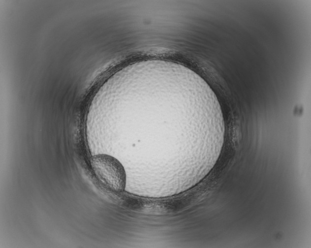 X0000114170591200911051529