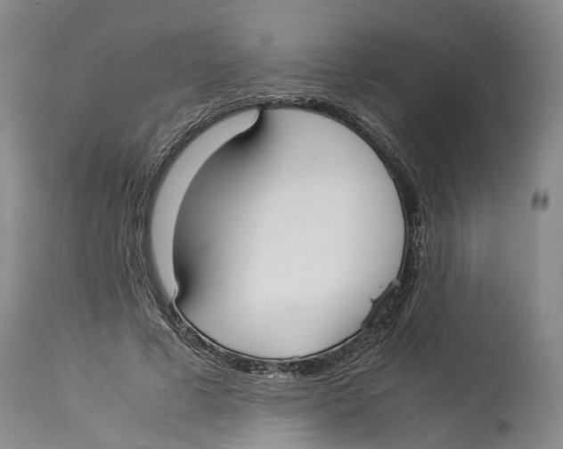 X0000114170593200911051529