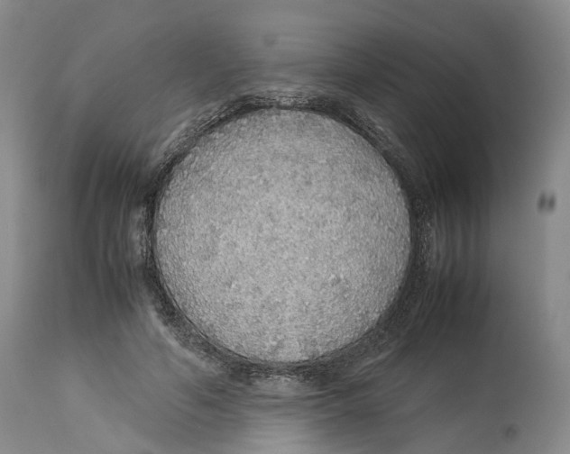 X0000114170594200911051529