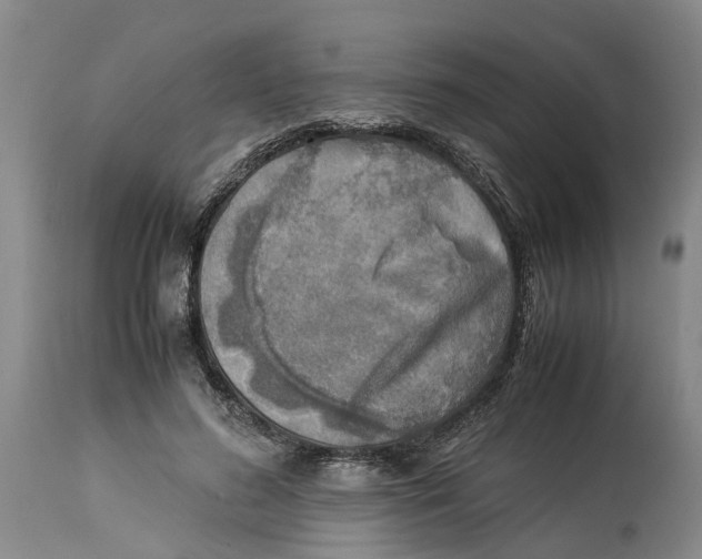 X0000114170596200911051529