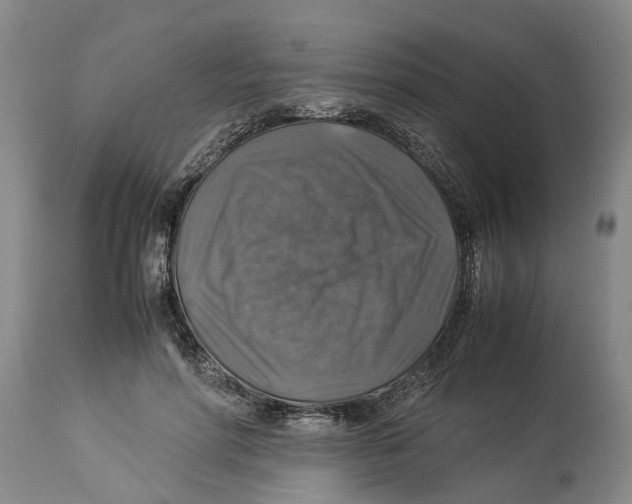 X0000114170598200911051529