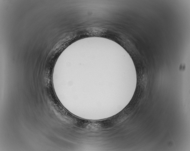 X0000114170599200911051529