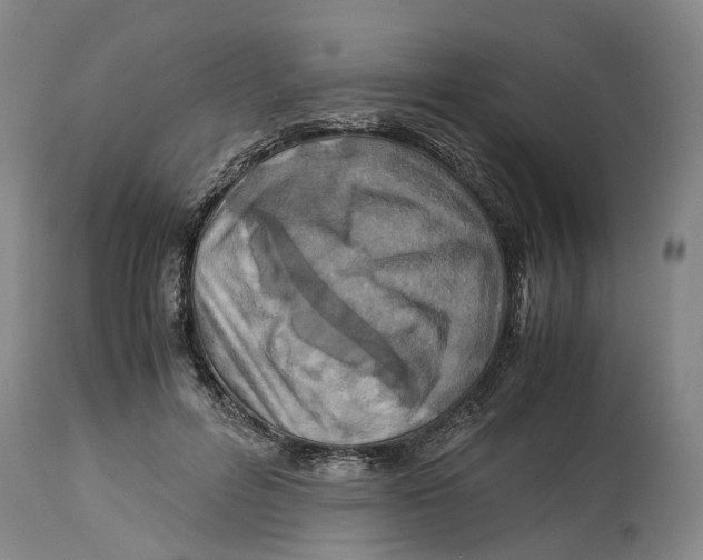 X0000114170600200911051529