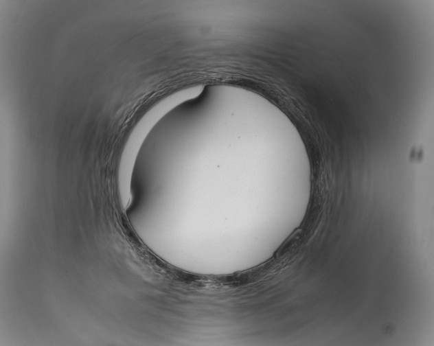 X0000114170601200911051529