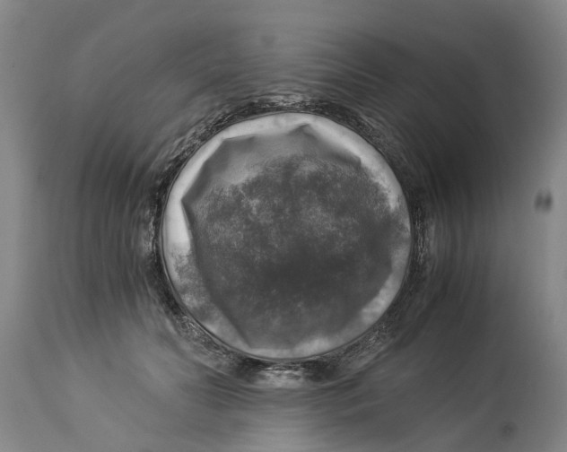 X0000114170606200911051529