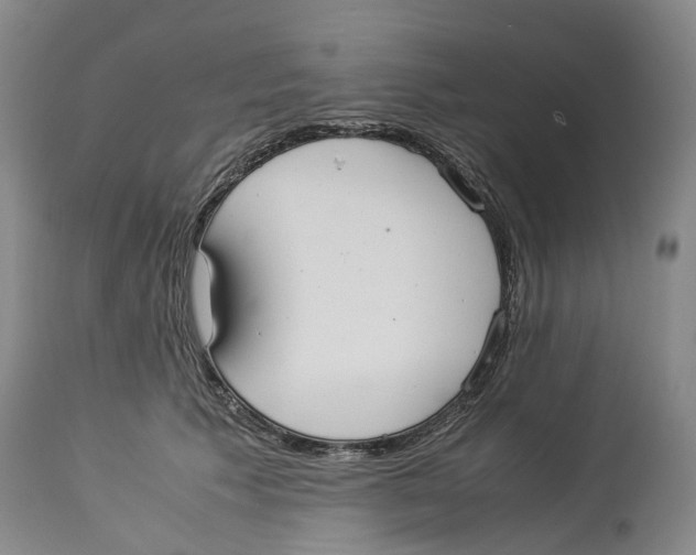 X0000114170609200911051529