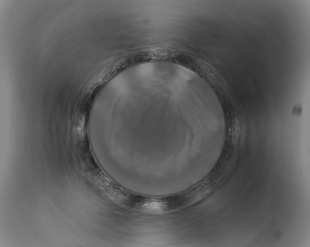 X0000114170610200911051529