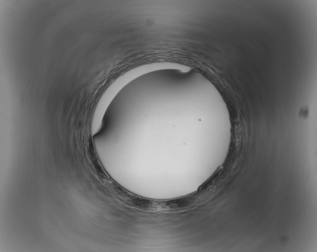 X0000114170613200911051529