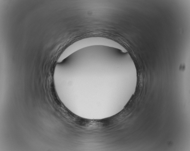 X0000114170617200911051529