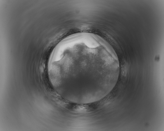 X0000114170618200911051529