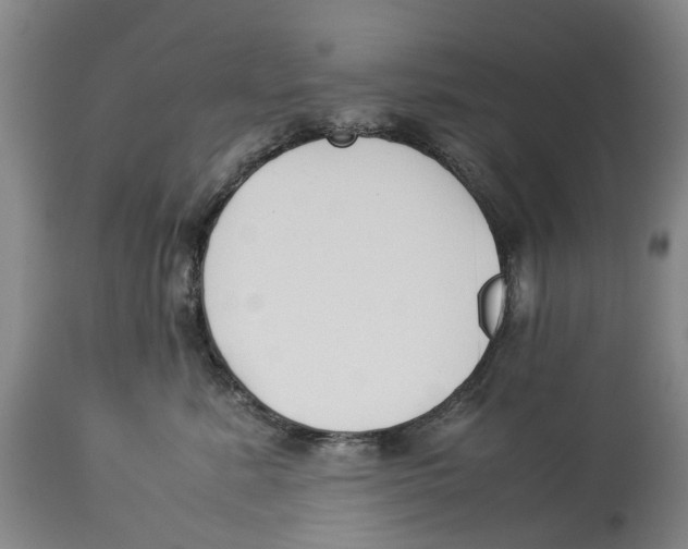 X0000114170619200911051529