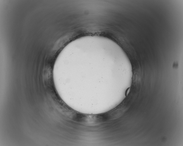 X0000114170623200911051529