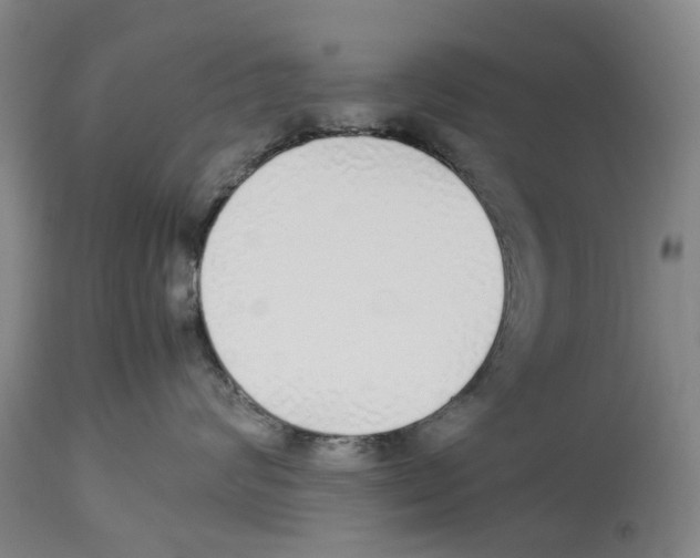 X0000114170624200911051529