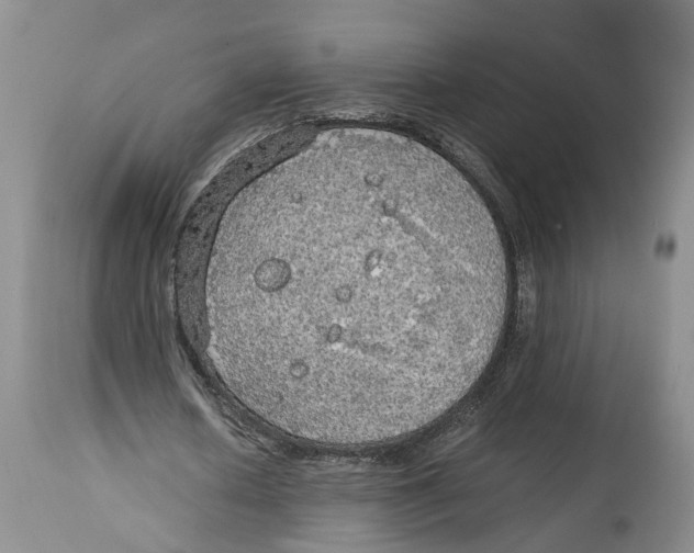 X0000114170626200911051528