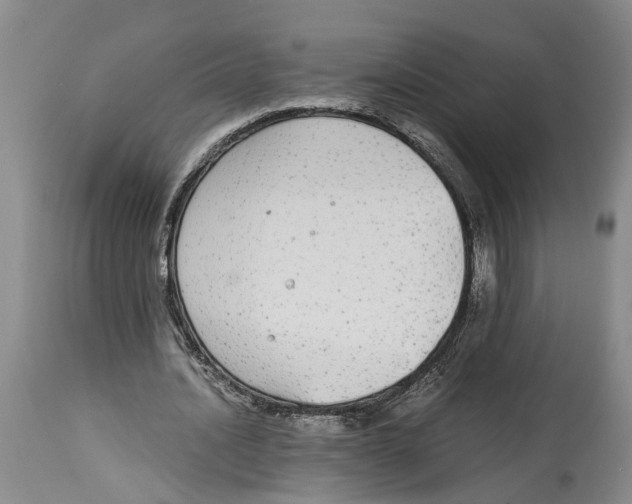 X0000114170628200911051528