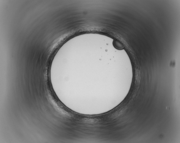 X0000114170629200911051528