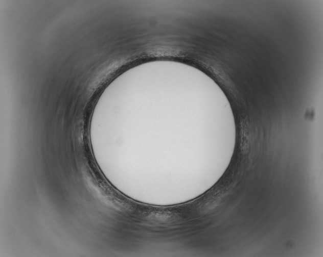 X0000114170631200911051528