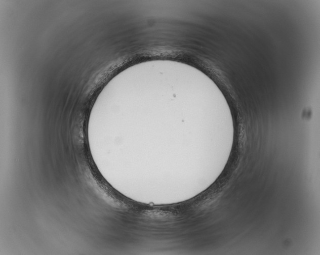 X0000114170633200911051528