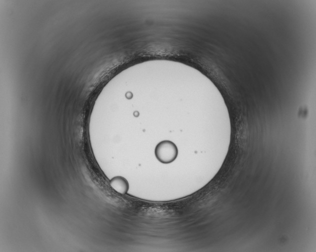 X0000114170635200911051528