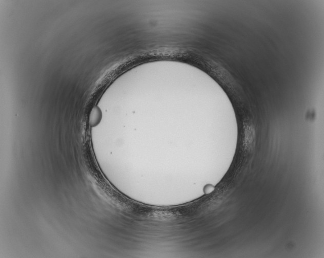 X0000114170636200911051528