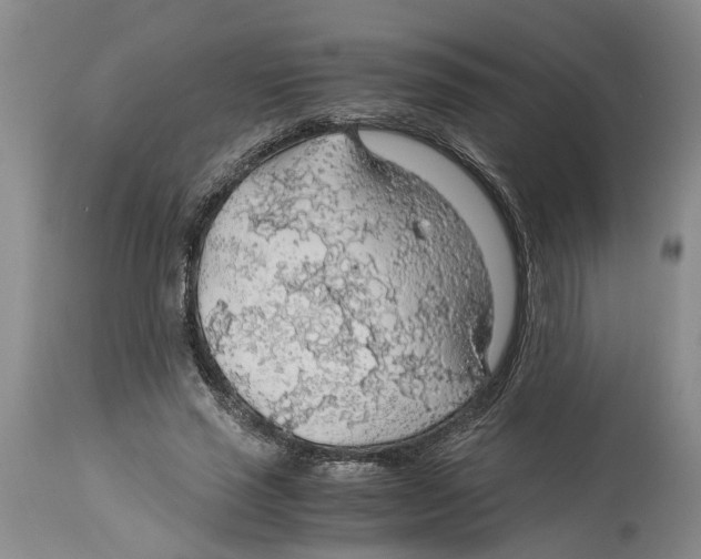 X0000114170637200911051528