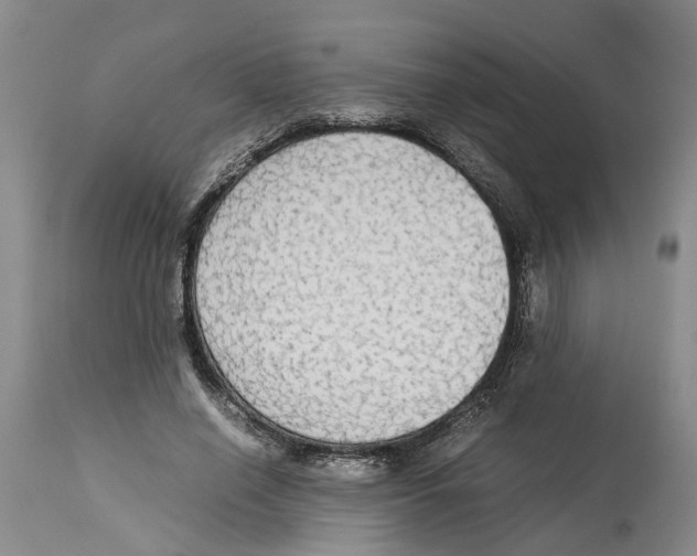 X0000114170638200911051528