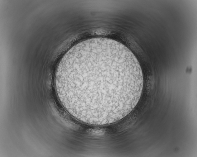 X0000114170639200911051528