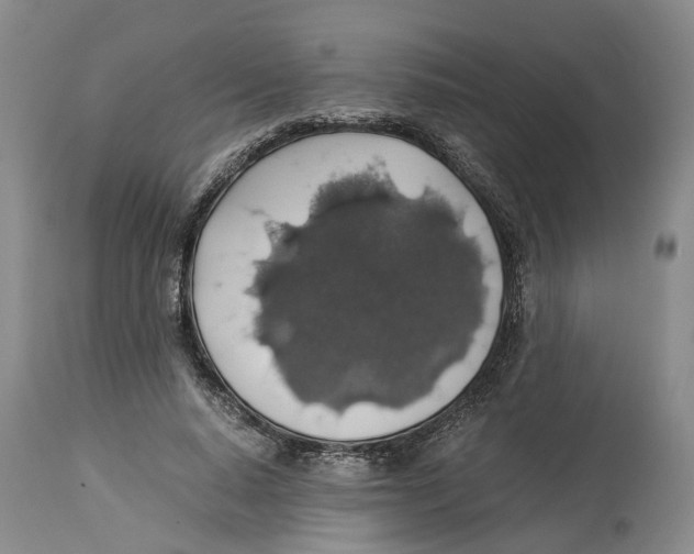 X0000114170640200911051528