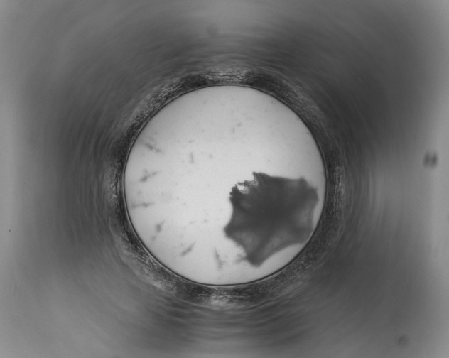 X0000114170641200911051528