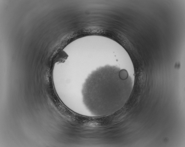 X0000114170643200911051528