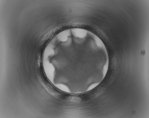 X0000114170644200911051528