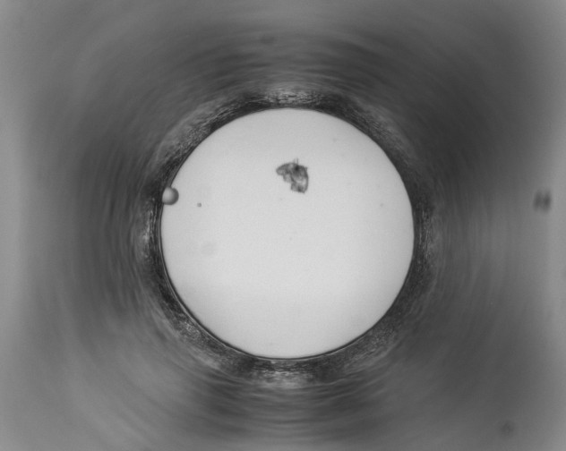 X0000114170645200911051528