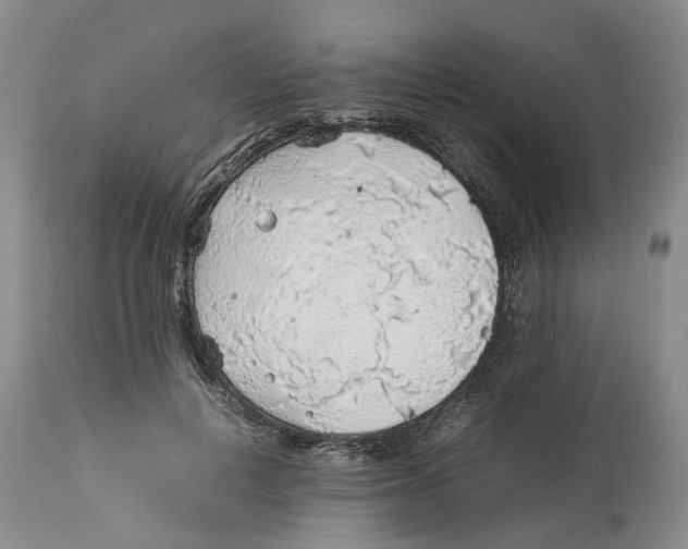 X0000114170648200911051528