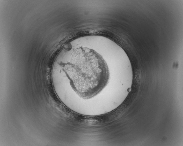 X0000114170650200911051528