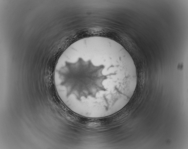 X0000114170653200911051528