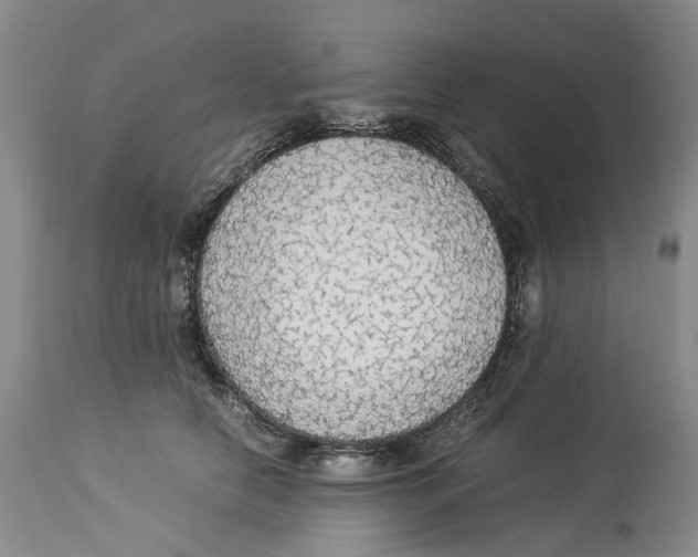 X0000114170658200911051528