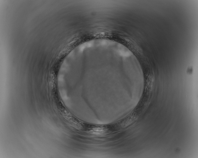 X0000114170659200911051529