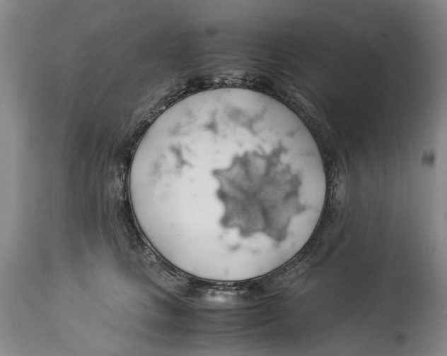 X0000114170661200911051529